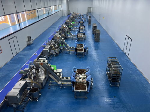 實(shí)地觀摩見(jiàn)證陜南綠色轉(zhuǎn)型發(fā)展